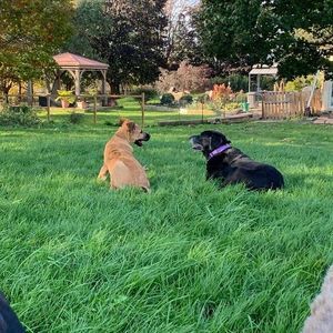 Meet your Posher, Meredith